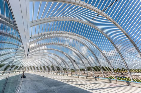 Florida Polytechnic University | FLORIDA POLYTECHNIC UNIVERSITY - MG McGrath Inc. Sheet Metal Florida Polytechnic University, Photo Series Ideas, Series Ideas, Polytechnic University, Innovation And Technology, Interesting Architecture, Pedestrian Walkway, Live Oak Trees, Santiago Calatrava