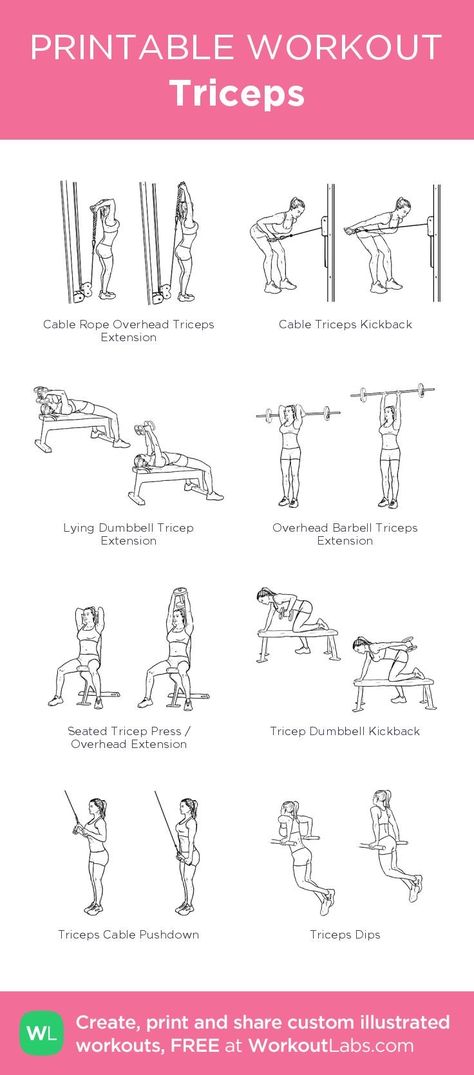 Workout Labs, Printable Workout, Printable Workouts, Different Exercises, Gym Routine, Triceps Workout, Workout Guide, I Work Out, Upper Body Workout