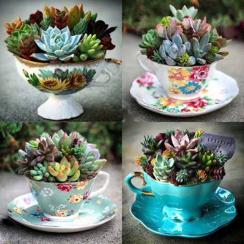 Joululahjat Diy, Kaktus Dan Sukulen, Unusual Planter, Beauty Table, Succulent Landscape Design, Teacup Gardens, Succulent Garden Design, Succulent Landscaping, Succulent Garden Diy