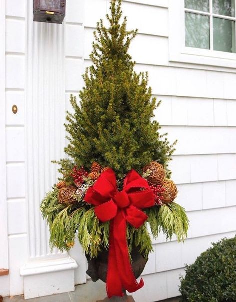 Christmas Potted Plants Outdoors, Potted Christmas Tree Porch, Christmas Flower Boxes Outdoor, Christmas Decor Ideas For Outdoor Urns, Christmas Tree Urn, Outdoor Christmas Pots, Christmas Outdoor Pots Planters, Poinsettia Outdoor Planter, Christmas Front Porch Pots & Planters