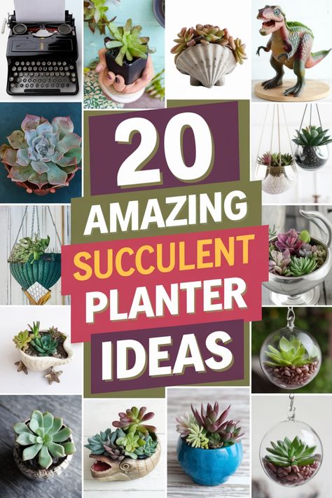 Explore the beauty of succulent planter ideas for both indoor and outdoor spaces. Get inspired with these creative and unique DIY succulent planter ideas that will add a touch of greenery to your home or garden. Whether you have a small apartment or a spacious patio, there's a succulent planter idea perfect for your space. From hanging planters to repurposed containers, there are endless possibilities to showcase these low-maintenance plants in style. Succulent Planter Ideas, Diy Succulent Planter, Indoor Succulent Planter, Vertical Succulent Gardens, Concrete Succulent Planters, Succulent Planter Diy, Wall Mounted Planters, Planter Project, Succulent Planters