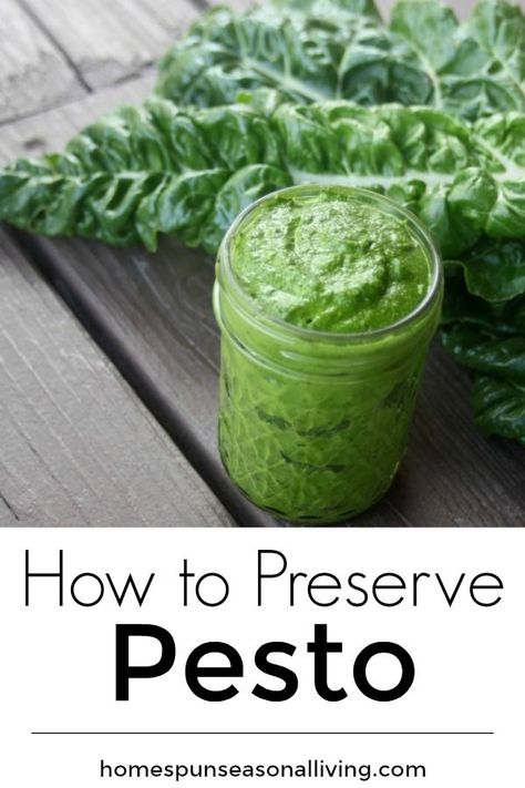 Canned Pesto Recipe, Canning Pesto, Storing Fresh Basil, Homesteading Food, Preserving Basil, Homemade Pesto Recipe, Basil Pesto Recipes, Food Budget, Pasta Pizza