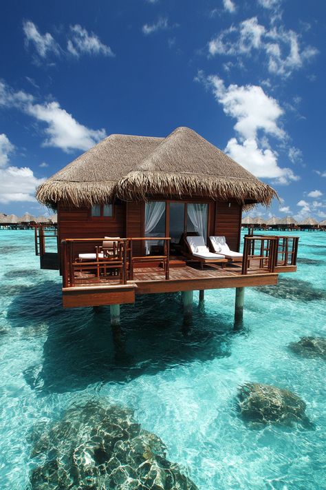 "🌴💞 Dive into tropical romance in Bora Bora with our Pinterest Carousel! Enjoy overwater bungalows, crystal-clear waters, and dreamy sunsets. 🌅🏝️ #BoraBoraRomance #TropicalParadise #DreamVacation" Bungalow Resorts, Bora Bora Island, Overwater Bungalows, Island Vacation, Ritz Carlton, Crystal Clear Water, Tropical Islands, Bora Bora, Romantic Getaways