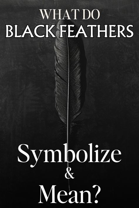 Black Feather Symbolism & Meaning (Knowledge & Wisdom) Black Feather Tattoo, Black Feather Meaning, Symbolism Meaning, Feather Tattoo Meaning, Feather Symbolism, Feather Meaning, Symbolic Representation, Feather Tattoo, Red Feather