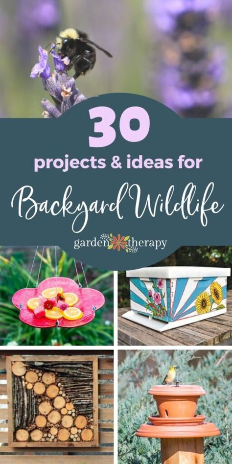 Backyard Wildlife Habitat Ideas, Small Wildlife Garden Ideas, Backyard Habitat Ideas, How To Attract Wildlife To Your Yard, Wildlife Habitat Projects, Wildlife Friendly Backyard, Sanctuary Garden Ideas, Wildlife Garden Ideas Uk, Certified Wildlife Habitat Yards