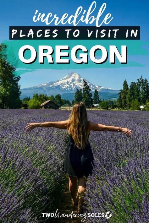 Oregon’s natural attractions are incredibly diverse, encompassing lush rainforest, beaches, desert, countless waterfalls, sand dunes, and of course, lots and lots of mountains. We rounded up the best places to visit in Oregon to help you get started planning your trip. places to travel | adventure travel | travel essentials Oregon Bucket List, Things To Do In Oregon, Columbia River Gorge Oregon, Adrenaline Sports, Hood River Oregon, Oregon Road Trip, Heart Pumping, West Coast Road Trip, Hood River