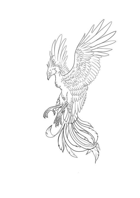 Phoenix Tattoo Stencil, Phoenix Outline, Phoenix Tattoo Sleeve, Tato Phoenix, Phoenix Back Tattoo, Tattoo Stencil Designs, Phoenix Drawing, Small Phoenix Tattoos, Becoming A Tattoo Artist