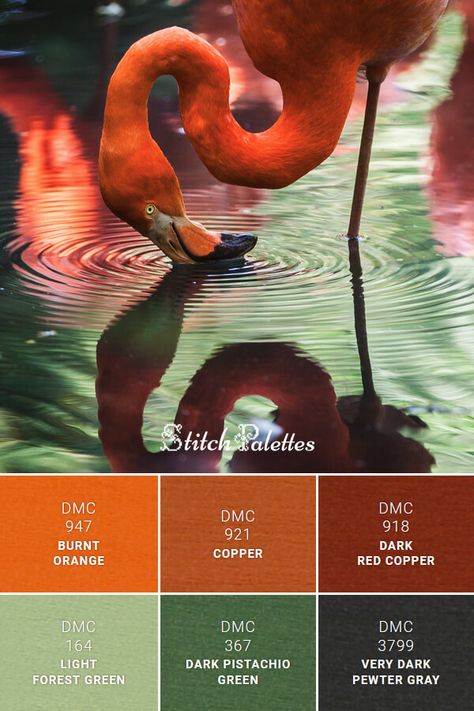 Green And Burnt Orange Color Palette, Red Orange Color Scheme, Orange And Red Palette, Burnt Orange And Green Kitchen, Emerald Orange Color Palette, Dark Green Orange Color Palette, Jade Green Color Palette, Burnt Red Color Palette, Dark Orange Colour Palette