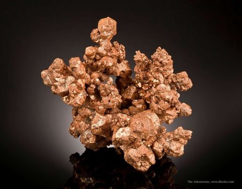 TUC14B-1338 Copper Boddington Au Mine, Boddington, Western Australia, Australia Small Cabinet, 6.1 x 4.0 x 4.0 cm Copper Mineral, Geology Rocks, Fine Minerals, Small Cabinet, Copper Color, Minerals Crystals, Mineral Specimen, Western Australia, Geology