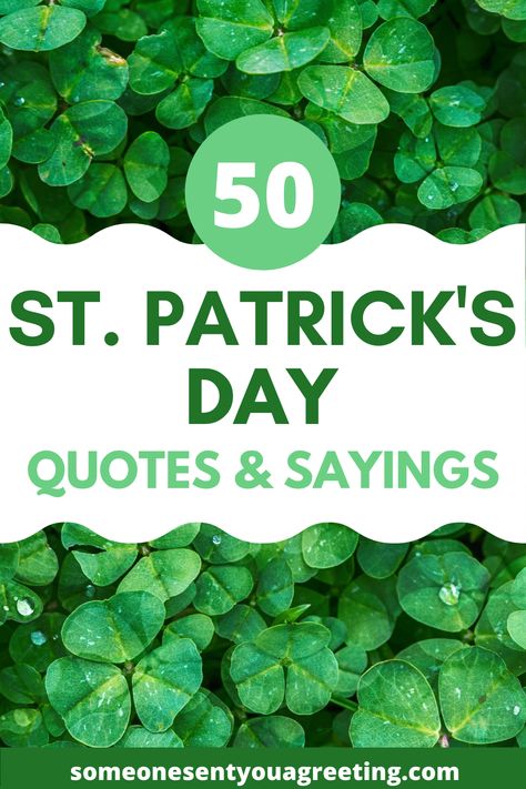 Have a lucky and Happy St Patrick's Day with these St Patrick's Day quotes and sayings - think four lead clovers, shamrocks, leprechauns, and of course, beer! Enjoy St Paddy's Day just like the Irish - with as much fun as possible! | #stpatricksday #irish #stpattysday #patricksday #luckoftheirish #shamrock #fourleafclover St Patricks Day Quotes Inspiration, St Patrick’s Day Sayings Funny, St Patrick’s Day Quotes Funny, St Pattys Day Quotes, St Patrick’s Day Quotes, St Pattys Quotes, Funny St Patricks Day Quotes, Happy St Patricks Day Funny, Leprechaun Quotes