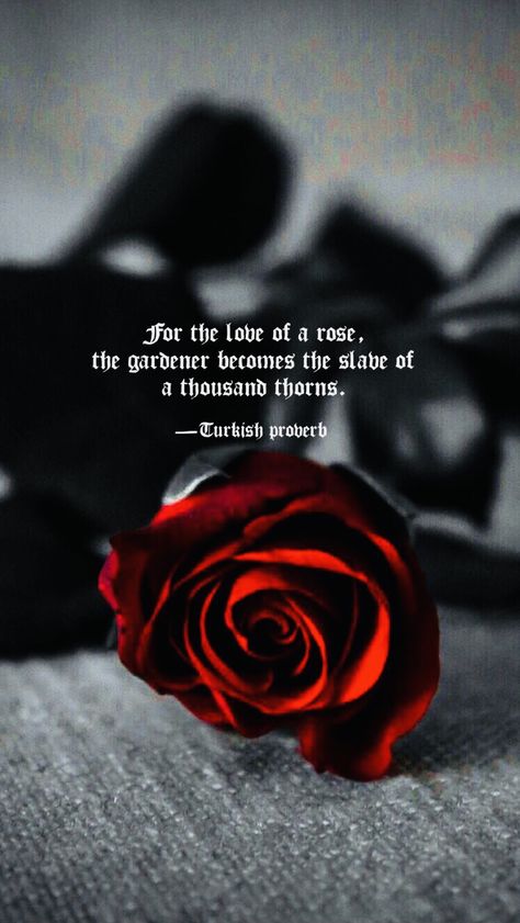 Quotes About Roses And Thorns, Quotes Notes, Rose Quotes, Gothic Rose, The Gardener, Proverbs Quotes, Physical Attraction, Learning To Trust, Quotes And Notes