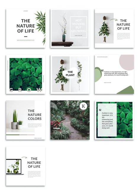 10 Plant Instagram Post Templates PSD Plant Instagram Post, Plant Instagram, Instagram Infographic, Instagram Posts Template, Instagram Layout Ideas, Messages Instagram, Plant Store, Instagram Feed Layout, Instagram Template Design