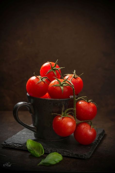 Tanaman Tomat, Vegetables Photography, Food Art Photography, Fruits Photos, Still Life Fruit, Fruit Photography, Tortellini Soup, Food Wallpaper, Fruit And Veg