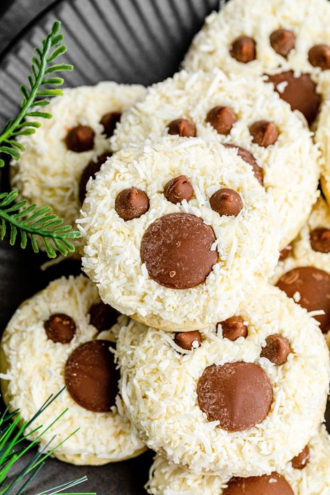 These bear paw cookies are simple to make using box cake mix and totally adorable! The chocolate coconut combo is deliciously perfect! Teddy Bear Shaped Food, Bear Themed Food, Grizzly Bear Cookies, Bear Cookies Decorated, Teddy Bears Picnic Food, Bear Paw Cookies, Teddy Bear Cupcakes, Paw Cookies, Cranberry Bliss Bars