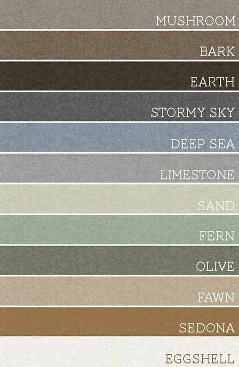 palewave earthy tones                                                                                                                                                                                 More Easy French Twist, Desain Editorial, Pick 3, Design Seeds, Powerpoint Design, Rustic Dining, New Wall, Colour Schemes, Color Pallets