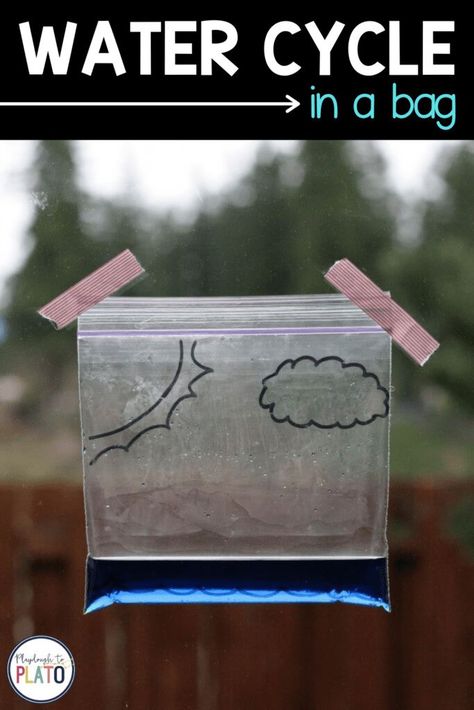 Check out this fun and super simple water cycle in a bag experiment. Kids will loves to check in on their homemade water cycle project while learning about the different stages. They will see water evaporate into vapor, condense back into liquid, and fall down with precipitation. This will help kids visualize what actually happens with water on a small scale. Water Cycle In A Bag, Weather Activities For Kids, Preschool Weather, Playdough To Plato, The Water Cycle, Kid Science, Weather Theme, 4th Grade Science, Weather Activities