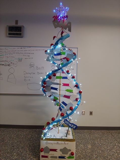 Project For Science, Biology Science Fair Projects, Dna Model Project, Parallel Structure, Dna 3d, Science Exhibition Projects, Dna Structure, Dna Tree, Biology Lab