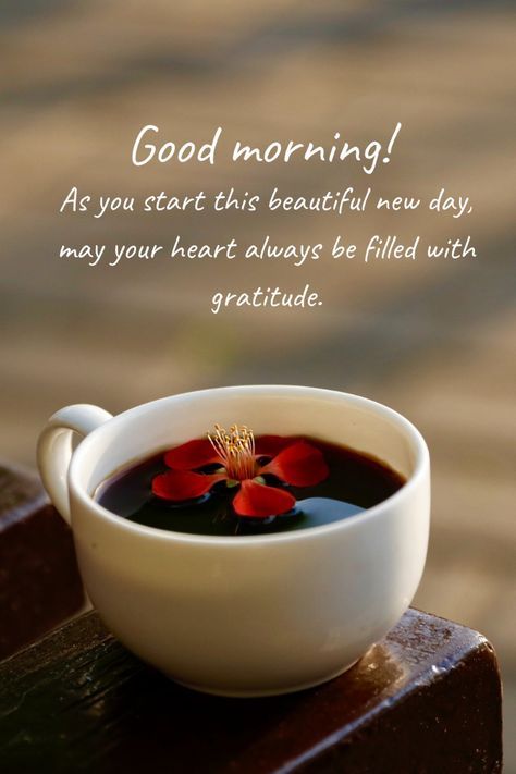 Romantic Good Morning Message, Cute Good Morning Messages, Morning Hugs, Gd Mrng, Romantic Good Morning Messages, Morning Gifs, Good Morning Wishes Gif, Good Morning Message, Good Morning Quotes For Him