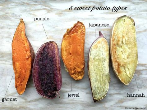 How to bake perfect sweet potatoes #howtobakesweetpotato #sweetpotato #bakedsweetpotato Easy Mashed Sweet Potatoes, Potato Art, Sweet Potato Varieties, Vegetarian Thanksgiving Recipes, Japanese Sweet Potato, Types Of Potatoes, Vegetarian Thanksgiving, Cooking Sweet Potatoes, Purple Sweet Potatoes