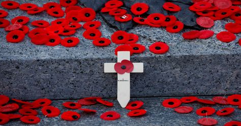 These Are Some Of The Most Poignant Photos From This Remembrance Day Poppy Template, Flanders Poppy, Remember The Fallen, Canadian Armed Forces, Ottawa Ontario, Anzac Day, Lest We Forget, Remembrance Day, Wallpaper Download