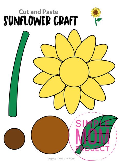 Are you looking for a step by step sunflower craft to make with your preschool class? This easy flower sunflower craft is great for handmade cards, teaching about the letter S and many other fun spring sunflower activities. Click now to download and print your sunflower craft template today! Sunflower Stem Activities, Sunflower Crafts For Kids Preschool, Sunflower Template Free Printable, Sunflower Activities, Sunflower Paper Craft, Crafts Template, Sunflower Craft, Printable Sunflower, Sunflower Template