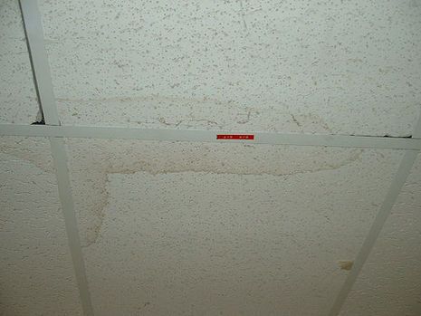 How to remove stains from ceiling tiles. Daily Cleaning Routine, Drop Ceilings, Homemade Toilet Cleaner, Faux Tin Ceiling, Faux Tin Ceiling Tiles, Clean Baking Pans, Cleaning Painted Walls, Faux Tin, Drop Ceiling