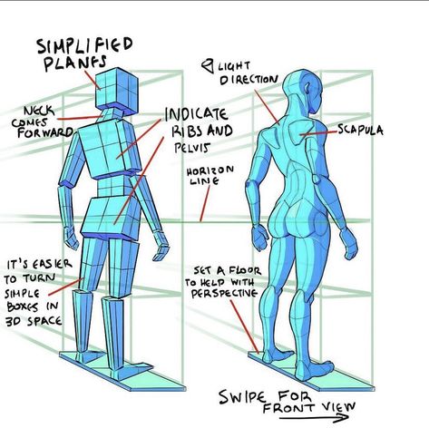 Pose Studies, Human Skeleton Anatomy, Body Tutorial, Perspective Drawing Lessons, Drawing Cartoon Faces, Anatomy Tutorial, My Notes, Body Drawing Tutorial, Human Anatomy Drawing