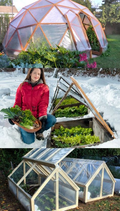 45 BEST tutorials, free building plans & ideas on how to build easy DIY greenhouses, simple cold frames, garden tunnels & hoops with low cost materials! An ultimate guide! - A Piece of Rainbow  #greenhouse #backyard #gardens #gardening #gardeningtips #homestead #homesteading #urbangardening #gardendesign #gardenideas #diy #gardeningtips #upcycle  #shed #sheshed  gardening, homestead, backyard ideas, winter, spring Diy Greenhouses, Cold Frame Diy, Window Greenhouse, Cold Frames, Diy Greenhouse Plans, Free Building Plans, Backyard Greenhouse, Small Greenhouse, Greenhouse Plans