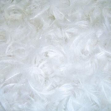 Dream Solutions USA Brand Bulk Goose Down Pillow Feathers - Most popular Mix 50/50 White (5 LB) -- Learn more by visiting the image link. Puffy Winter Coat, Make Your Own Pillow, Goose Down Pillows, Tshirt Painting, Discount Logo, White Goose, Goose Feathers, Jewelry Making Project, Down Pillow