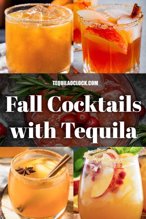 5 Must Make Fall Tequila Cocktails | Tequila O'Clock Cinnamon Infused Tequila, Tequila And Apple Juice, Apple Tequila Cocktail, Fall Cocktail Tequila, Apple Cider Tequila Cocktail, Fall Tequila Punch, Canada Dry Cocktails, 1800 Mixed Drinks, Thanksgiving Cocktails With Tequila