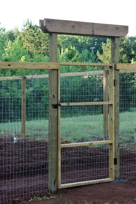 Chicken Fence, Deer Fence, Simple Garden, Diy Fence, Kew Gardens, Garden Fencing, Garden Structures, Veggie Garden, Garden Fence