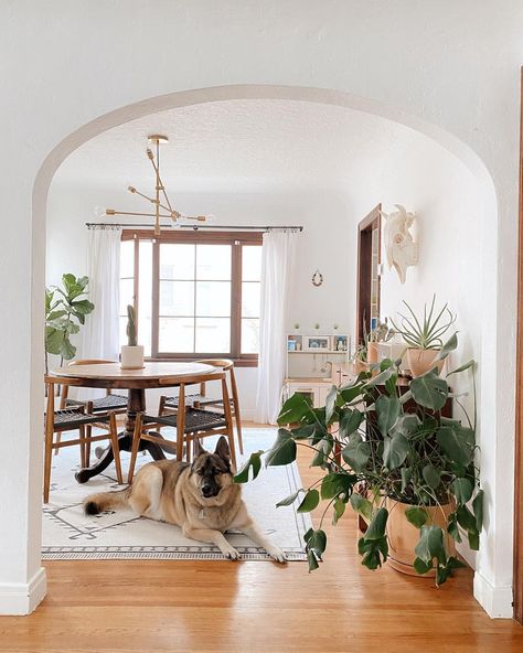 BLANCO BUNGALOW on Instagram: “Rogue says hi👋🏽 #blancobungalow” Bungalow Dining Room Ideas, Ruggable Dining Room, California Spanish Style Interior, Bungalow Dining Room, Spanish Dining Room, Top Paint Colors, Most Popular Paint Colors, Spanish Bungalow, Chicken Shack