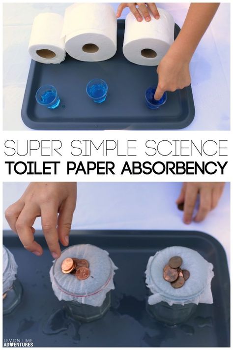 Simple Kids' Science Experiment. Test Toilet Paper Absorbency. Absorption Science Experiment, Simple Science Fair Projects, Paper Experiments, Kids Science Experiment, Simple Toilet, Science Boards, Experiments Kids, Experiments For Kids, Simple Science