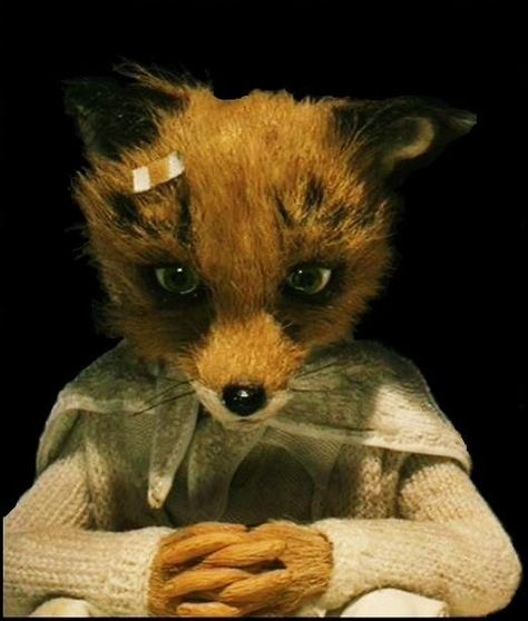 Fantastic Mr Fox Aesthetic, Its Not Your Fault, Fox Aesthetic, Fantastic Fox, Mister Fantastic, Wes Anderson Movies, Wes Anderson Films, Not Your Fault, Fantastic Mr Fox