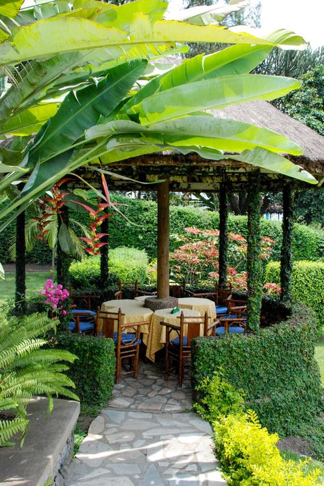 Lake Kivu, Backyard Resort, Fun Backyard, Tropical Garden Design, Tropical Backyard, Pergola Design, Garden Gazebo, Beautiful Patios, Patio Gazebo