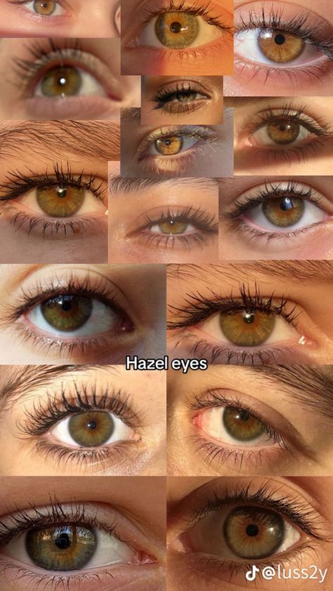 Who agrees w/ me that hazel is one of the prettiest eye colors in the world?? Pretty Eyes Color, Hazel Brown Eyes, Brown Eyes Aesthetic, Natural Contact Lenses, Hazel Green Eyes, Eye Color Chart, Hazel Eye Makeup, Beautiful Eyes Color, Makeup Accesories