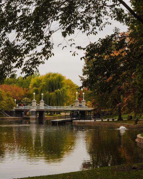 Throwback to fall in Boston in 2022 🍂✨ The city was a canvas of reds, golds, and crisp air #boston #fallvibes #fallcolors #fallfoliage #bostoncommon #bostonpublicgarden #igersboston #bostonmassachusetts #bostonma #ma #massachusetts #ilovemyboston #boston_igers #folliage #newengland Boston Massachusetts Aesthetic, Boston Autumn, Fall In Boston, Boston Fall, Boston Aesthetic, Boston Public Garden, South Boston, Good Will Hunting, Boston Common