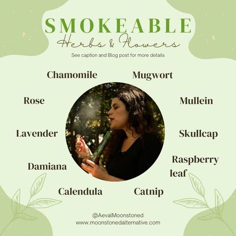 Smokeable Herbs, Herbs And Their Uses, Garden Party Recipes, Herbs List, Herbal Education, Healing Magic, Herbs And Flowers, Rose Lavender, Magic Herbs