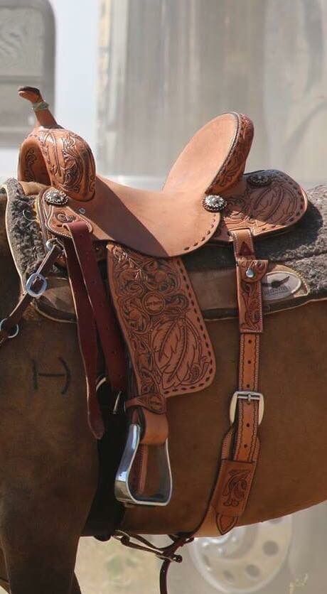 Horse Tack Western, Barrel Racing Tack Rodeo, Horses Funny, Barrel Racing Saddle, Funny Horse Pictures, Barrel Racing Saddles, Western Horse Saddles, Barrel Racing Tack, Western Saddles