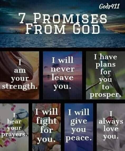 God 7, Bible Promises, Never Leave You, Prayer Scriptures, Faith Prayer, God Prayer, Gods Promises, Prayer Quotes, Christian Inspiration