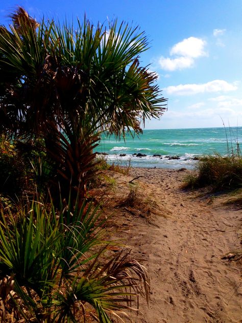 ~ Caspersen Beach, Florida ~ going there too! Casperson Beach Florida, Florida Beaches, Florida, Water