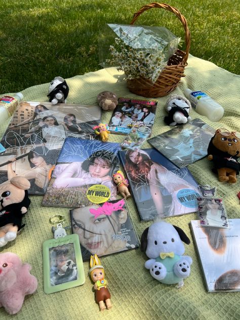 Kpop Picnic Aesthetic, Kpop Friends Aesthetic, Kpop Things Aesthetic, Kpop Activities, Picnic Kpop, Plushies Sanrio, Otter Plush, Photocards Kpop, Creative Gift Ideas