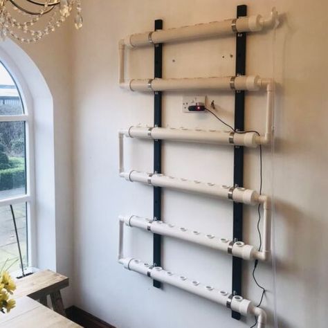 Hydroponic Planting Wall Mounted 54 Planter System - Bowry Hydroponics | eBay Aeroponic Gardening, Hydroponic Strawberries, Indoor Hydroponic Gardening, Organic Dining Room, Food Storage Rooms, Indoor Farming, Vegetable Garden Planner, Hydroponics Diy, Aquaponic Gardening