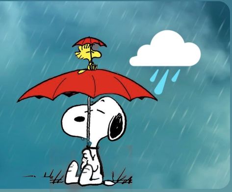 Prayers Of Protection, Rainy Thursday, Good Thursday Morning, Tweety Bird Quotes, Good Morning Nature Images, God Is Our Refuge, Good Morning Snoopy, Good Thursday, Happy Thursday Quotes