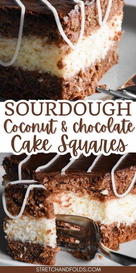 Sourdough Discard Chocolate Coconut Cake Squares - Stretch and Folds Discard Dessert, Sourdough Discard Dessert, Sourdough Dessert, Chocolate Coconut Cake, Cake Squares, Party Food Bar, Chocolate And Coconut, Family Desserts, Chocolate Layer Cake