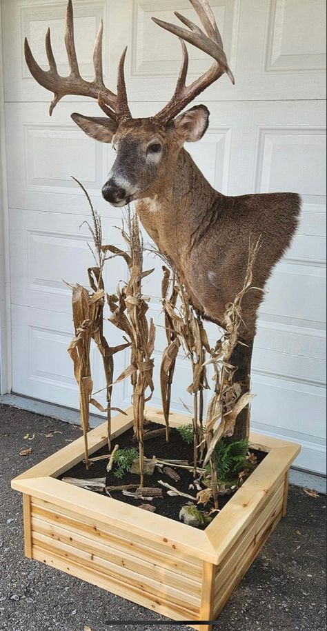 Deer Taxidermy Mounts, Hunting And Fishing Room, Fishing Room Ideas, Shoulder Mount Deer, Buck Mounts, Deer Horn Ideas, Hunting Mounts, Horn Ideas, Hunting Room Decor