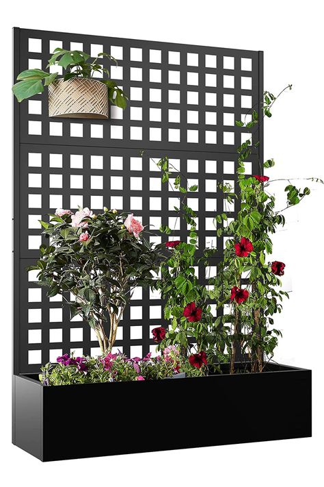 Constructed from sturdy galvanized metal, this sleek planter includes a tall trellis that supports climbing plants and doubles as an elegant privacy screen. Metal Flower Boxes Planters, Garden Planters With Trellis, Trellis With Planter, Planter With Trellis, Outdoor Raised Garden Beds, Patio Trellis, Privacy Planter, Decorative Garden Fencing, Planter Trellis