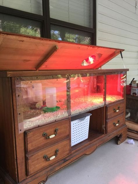 Brooder Ideas, Chick Brooder, Chicken Brooder, Chicken Supplies, Bearded Dragon Habitat, Owner Builder, Backyard Chicken Farming, Rabbit Cages, Coop Plans