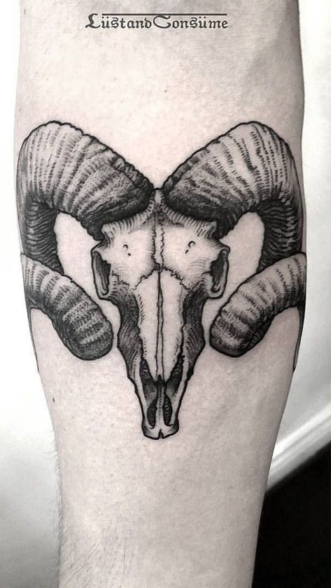 Skull Thigh Tattoos, Aries Ram Tattoo, Ram Tattoo, Daffodil Tattoo, Bull Tattoos, Aries Tattoo, Forarm Tattoos, Half Sleeve Tattoos For Guys, Hand Poked Tattoo