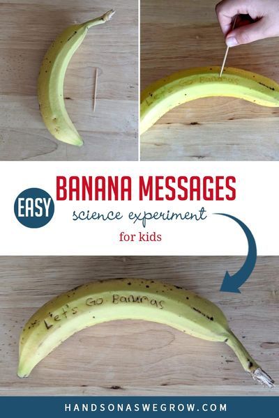 Simple, fun, no-prep science experiment for kids to do at home. With just 2 supplies try writing messages on bananas and watch as they change. Banana Science Experiment, Kids Science Experiment, Teaching Kids Letters, Science Experiment For Kids, Toddler Science Experiments, Experiment For Kids, Simple Science, Nutrition Science, Kid Experiments